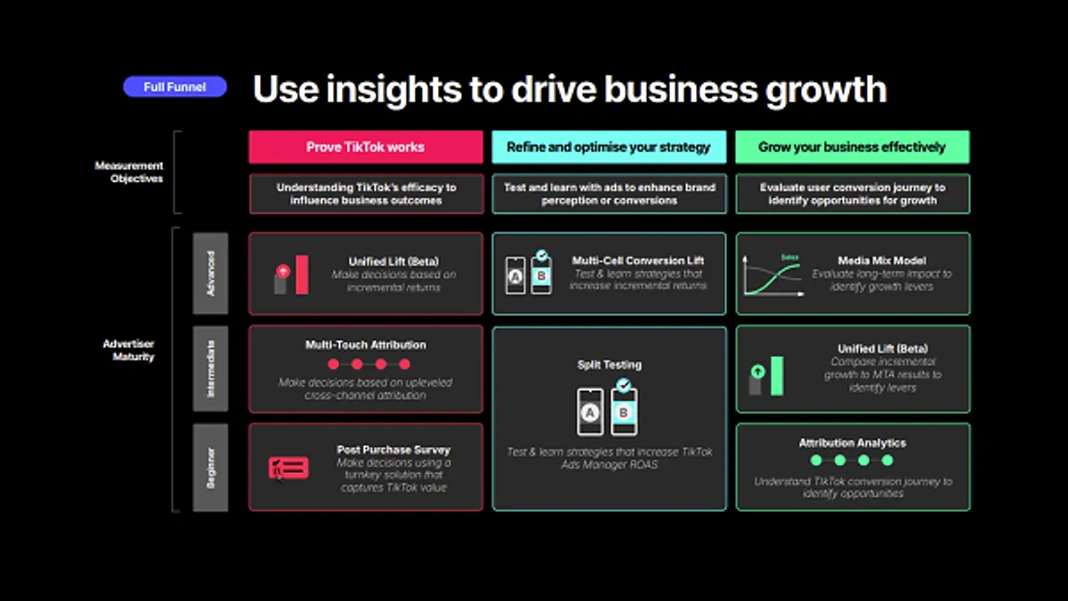 TikTok ad impact overview